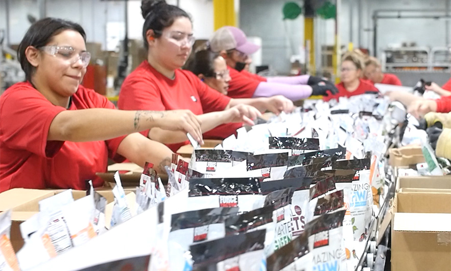 factory workers fulfilling a contract packaging order